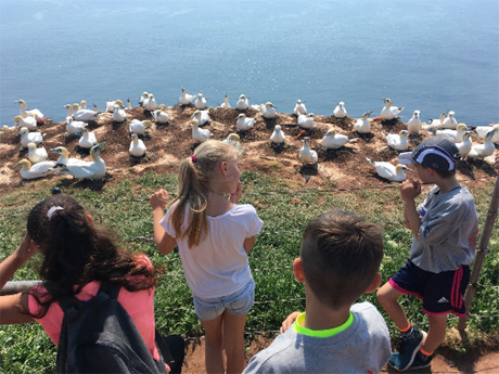 Die Albert-Schweitzer-Läufer erobern Helgoland: Helgolandlauf