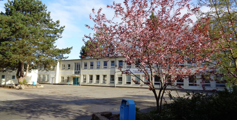 Informationen für Eltern mit Kindern an der Albert-Schweitzer-Schule Wedel.